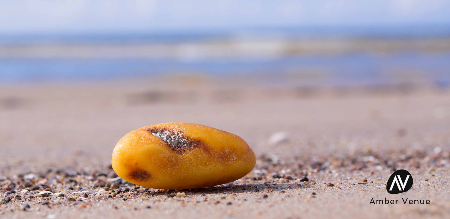Baltic amber drop