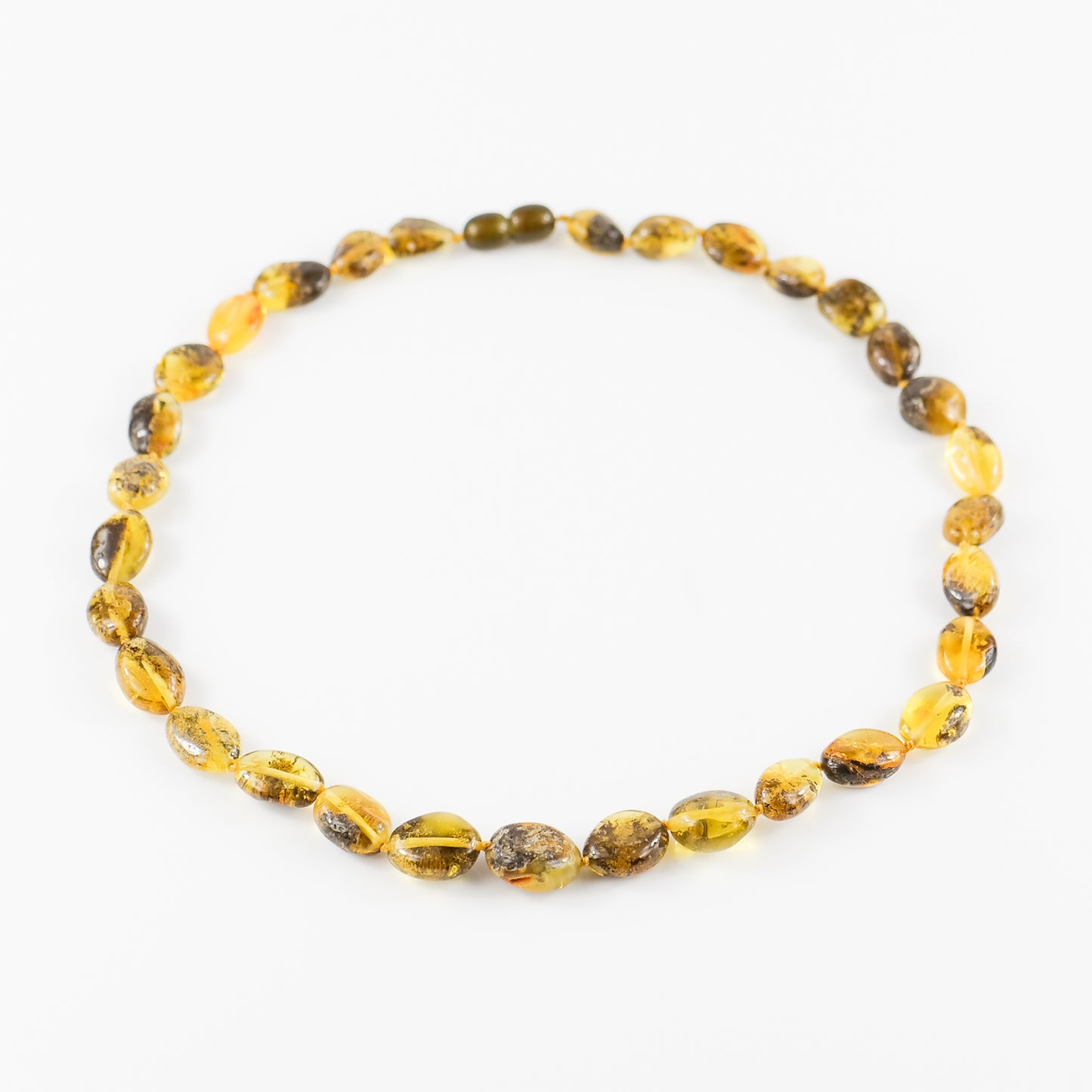 Amber With Insect