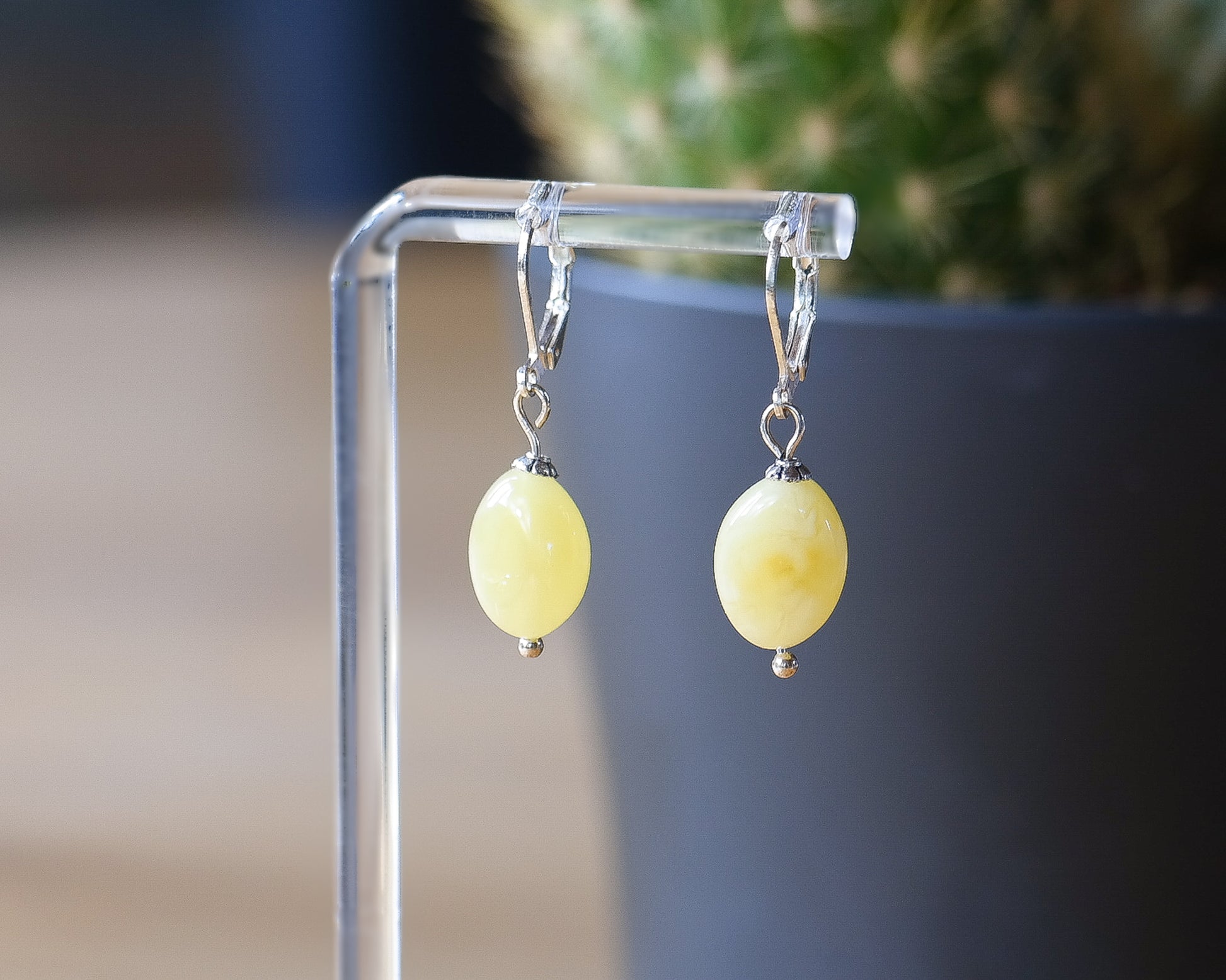 Baltic Amber Earrings