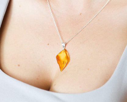 Baltic amber pendant inclusion