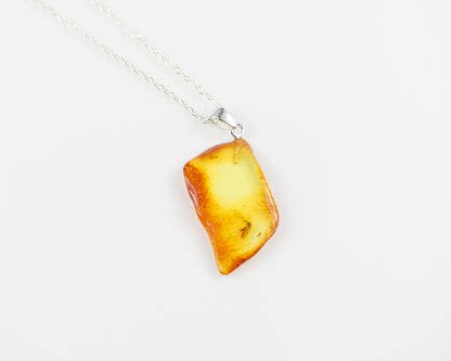 Amber pendant with insect