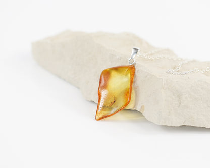 Amber inclusion