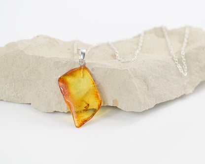 amber insect