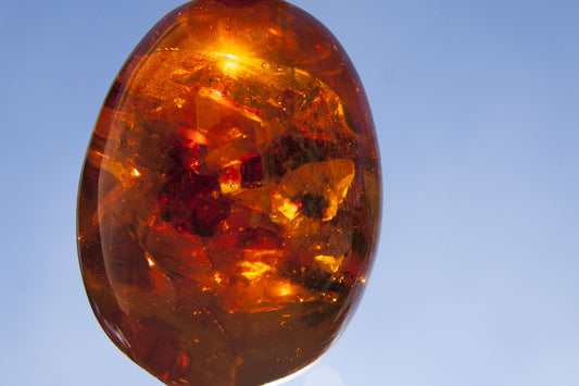 shinny Baltic amber