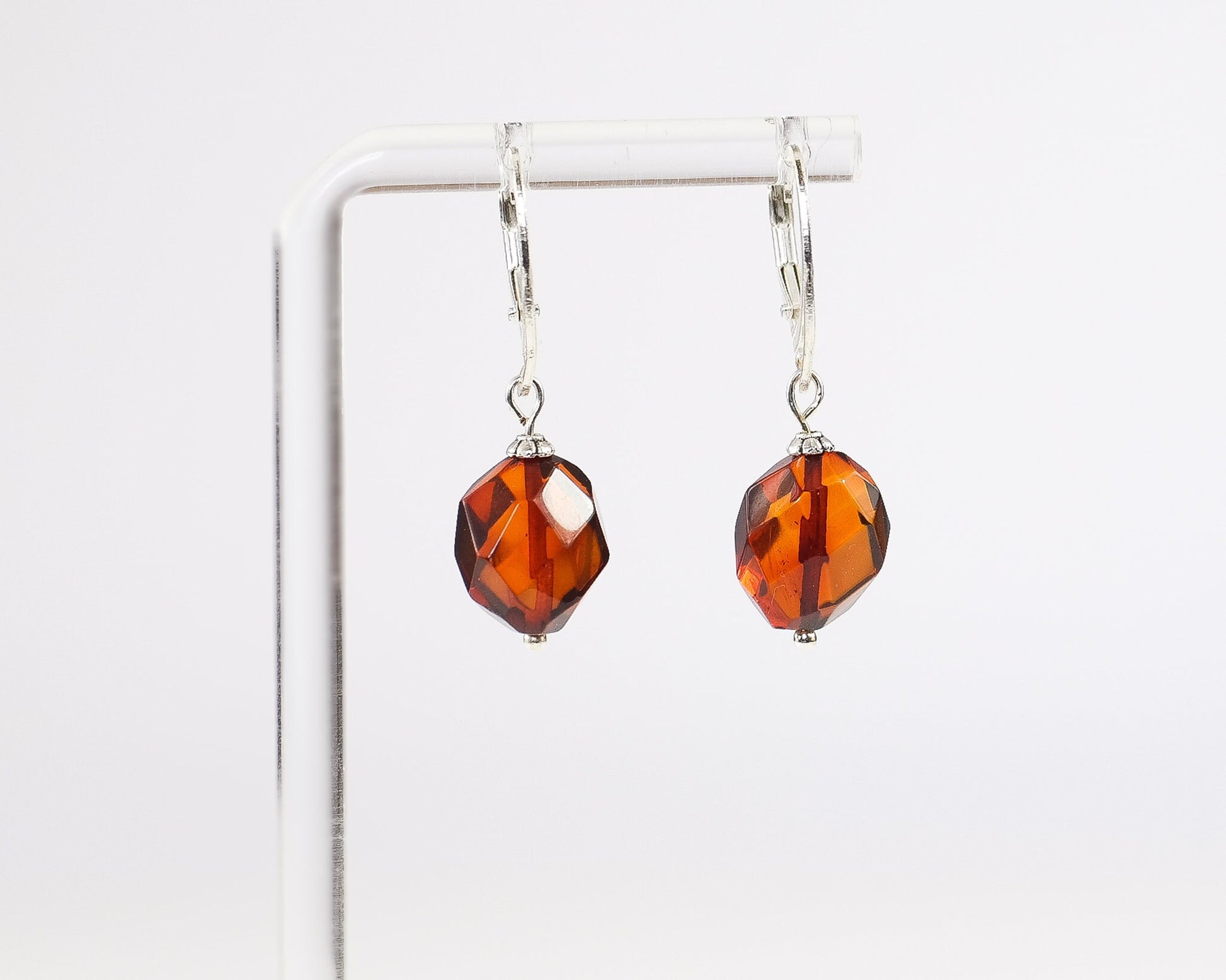 Dangle Amber Earrings