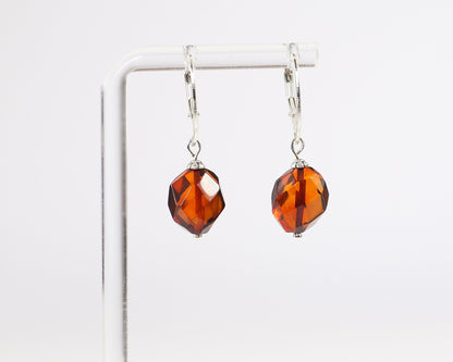 Dangle Amber Earrings
